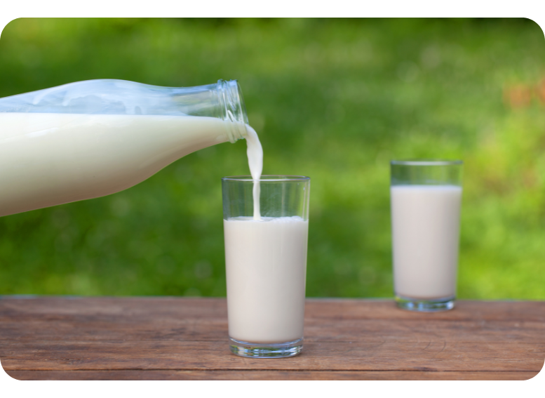 Mleko jako źródło laktozy – czy warto je pić przy nietolerancji? Sprawdź dietetyczne alternatywy w cateringu bez laktozy