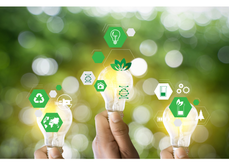 Ekologiczne rozwiązania w cateringu dietetycznym – ograniczanie marnowania żywności i recykling opakowań