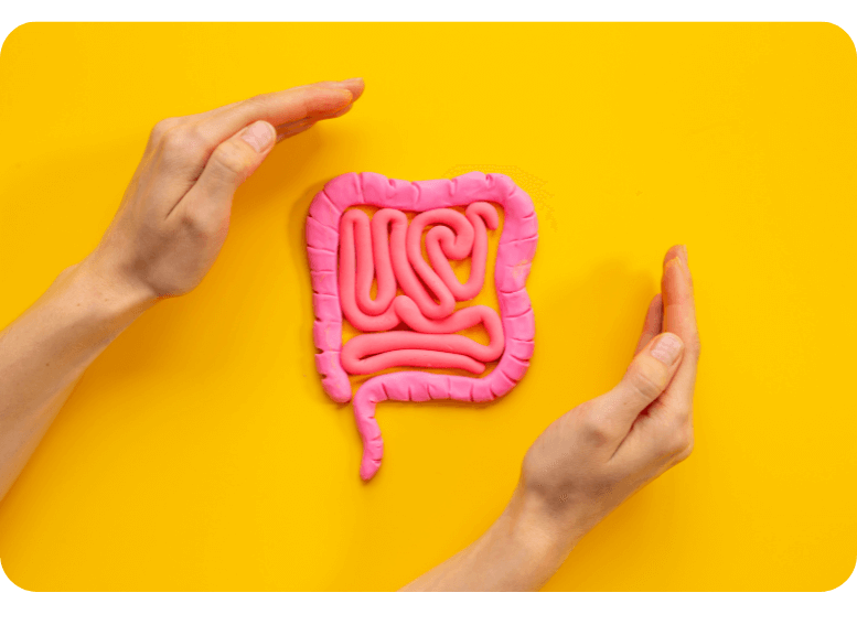 Jelita a zdrowie przewodu pokarmowego w diecie pudełkowej – rola mikrobiomu i maślanu sodu