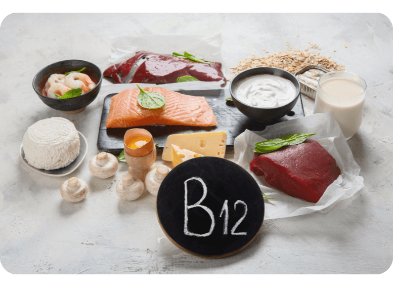 Produkty zwierzęce jako źródła witaminy B12 – dieta wysokobiałkowa w cateringu dietetycznym