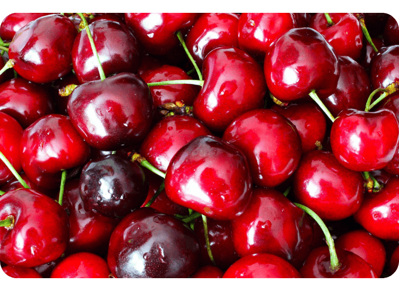 Zdrowe owoce sezonowe wiśnie i czereśnie, idealne składniki diety pudełkowej i zbilansowanego cateringu dietetycznego.